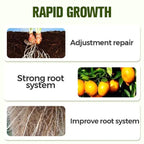 Soluble Disease Control Fertilizer 200 ml Pack of 2