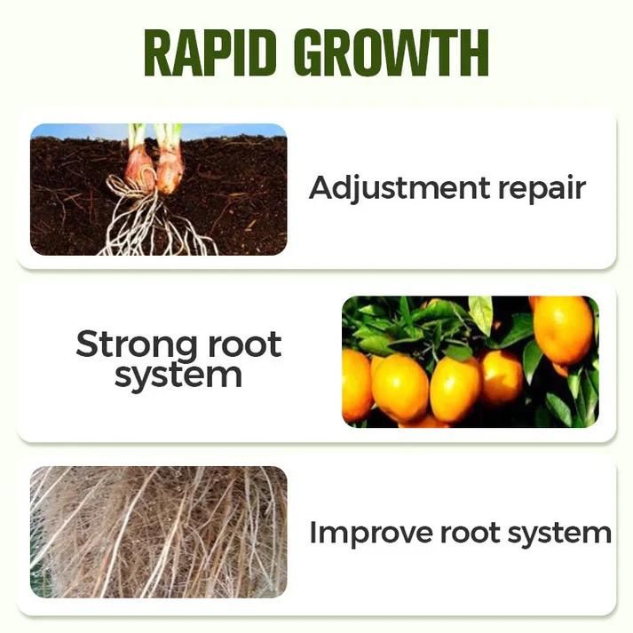 Soluble Disease Control Fertilizer 200 ml Pack of 2