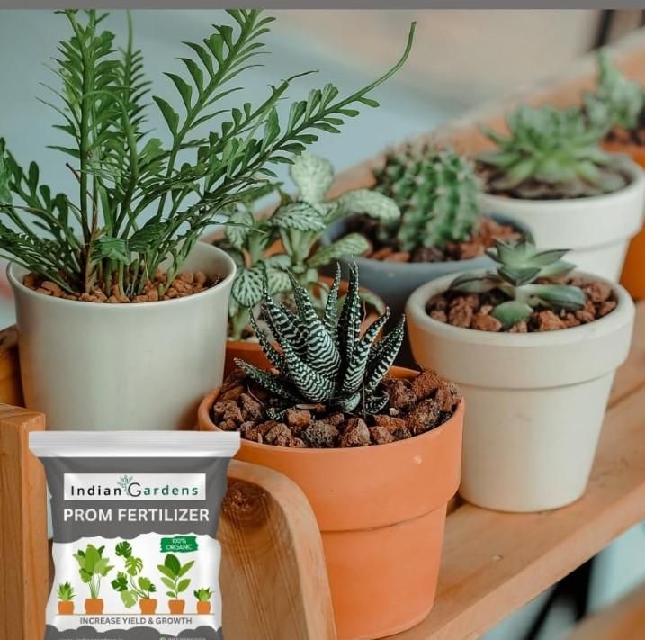 PROM Fertilizer 400gm