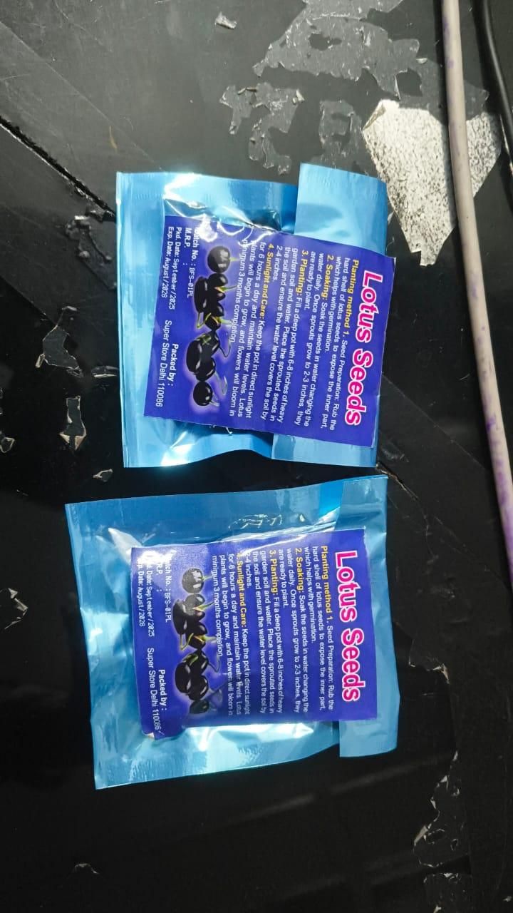 Krishna Kamal Seeds (Pack of 20)