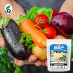 Single Super Phosphate, Essential Organic Fertilizer For Plant Growth (350 gm)