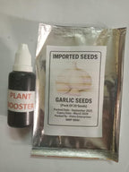 Garlic seeds ( Pack of 20) + Free Plant Growth Serum