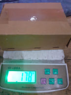 Krishna Kamal Seeds (Pack of 20)