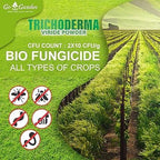Trichoderma Bio Fungicide Fertilizer 350 gms