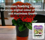 Iron Dust Fertilizer (350gm)