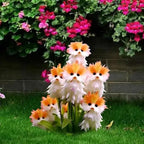 Cat Eye Dazzle Seeds + Plant Growth Serum Free