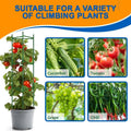 Plants Trellis Support with Plastic Coated Steel Anti-Slip for Climbing Vines, Flowers and Vegetables