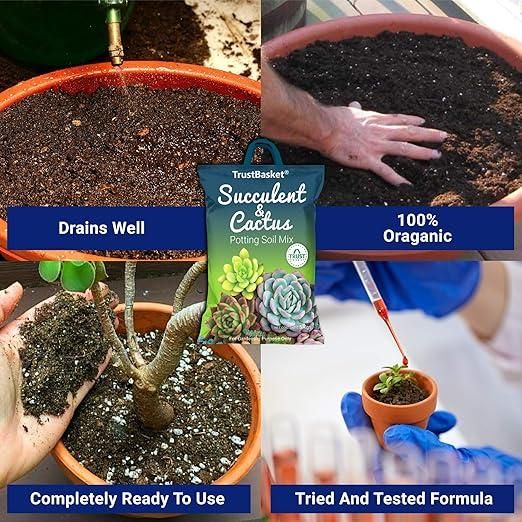 Succulent and Cactus Potting Soil Mix (350gm)