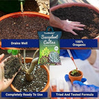 Succulent and Cactus Potting Soil Mix (350gm)