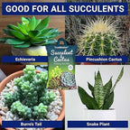 Succulent and Cactus Potting Soil Mix (350gm)