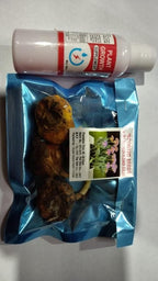 Rare Medusa Orchid with Plant Growth Supplement (Pack of 8)