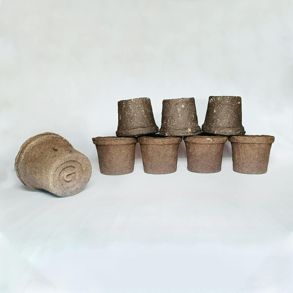 Special Soil Anti Root Breathable Plant Pot - 6 Pcs