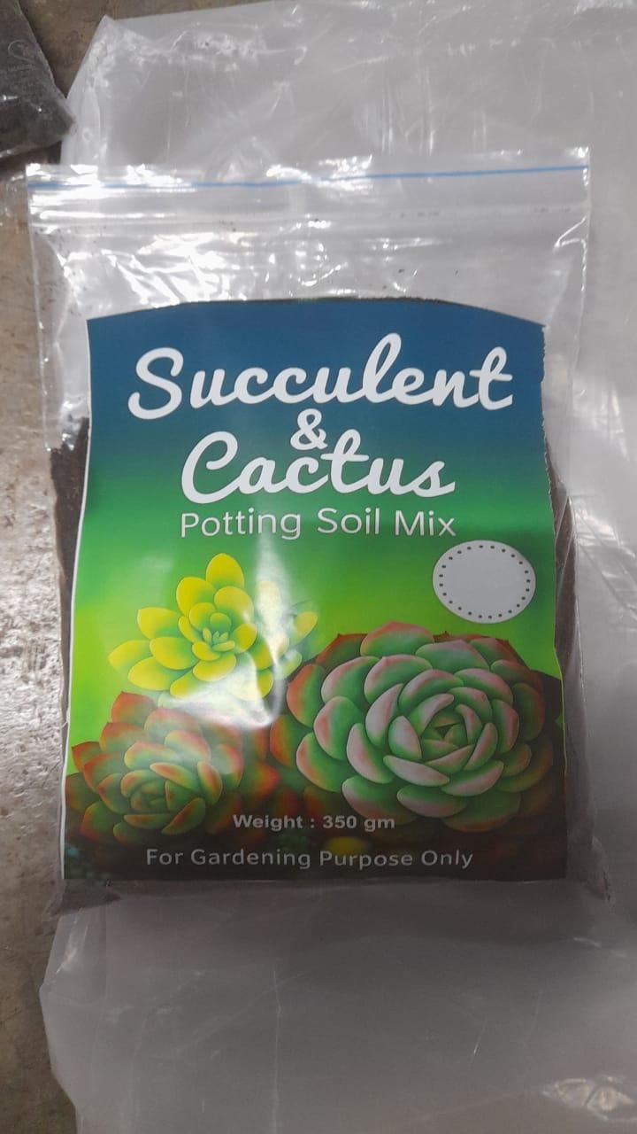 Succulent and Cactus Potting Soil Mix (350gm)