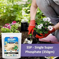 Single Super Phosphate, Essential Organic Fertilizer For Plant Growth (350 gm)