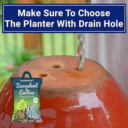 Succulent and Cactus Potting Soil Mix (350gm)