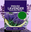 Lavender Seeds for Planting 350gm