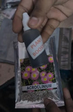 Acroclinium Mix Flower Seeds(40 Seeds Approx.) With Free Plant Growth Booster And Supplement (Pack of 2)