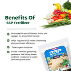 Single Super Phosphate, Essential Organic Fertilizer For Plant Growth (350 gm)