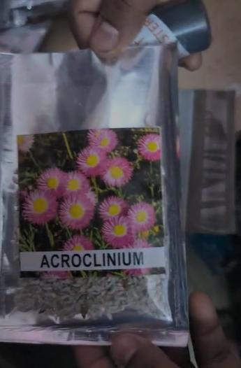 Acroclinium Mix Flower Seeds(40 Seeds Approx.) With Free Plant Growth Booster And Supplement (Pack of 2)