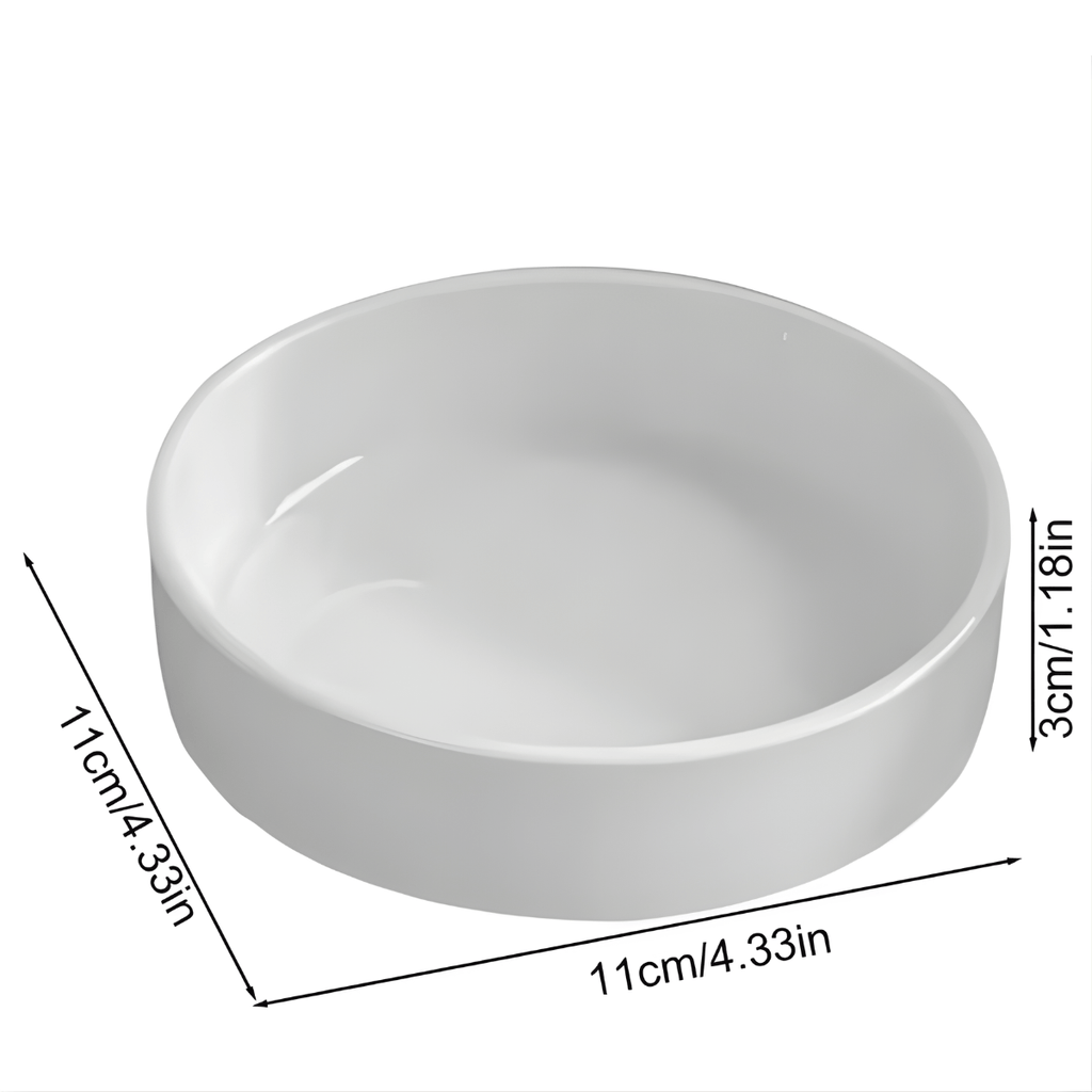 Brazilian Lucky Wood Plant - Safesaaf