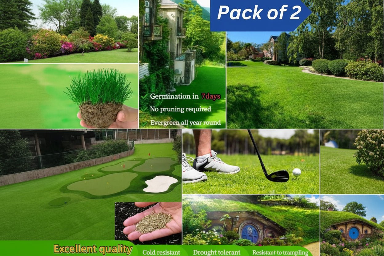 Grass Seeds Hybrid - Safesaaf